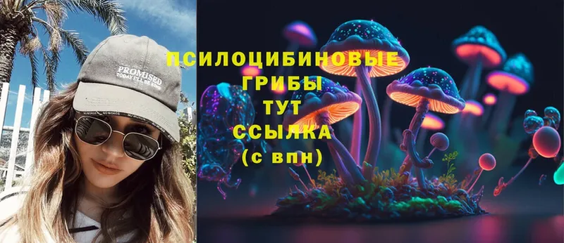 Псилоцибиновые грибы Cubensis  закладки  Ужур 